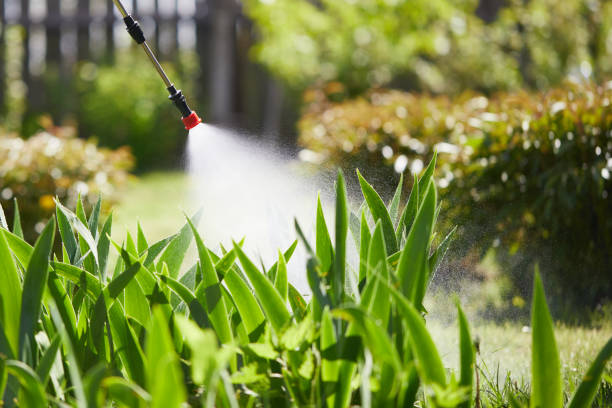 24/7 Emergency Mosquito Control experts in Beardstown, IL